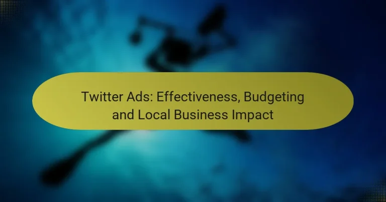 Twitter Ads: Effectiveness, Budgeting and Local Business Impact
