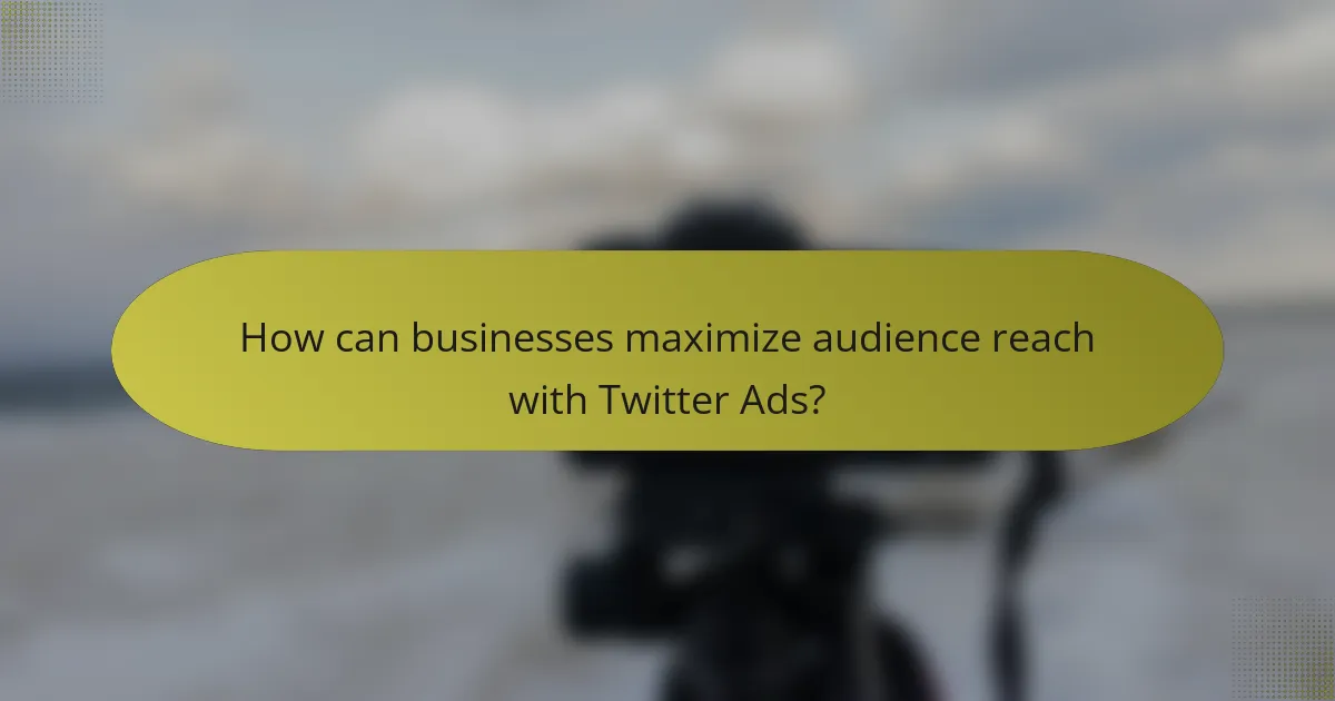 How can businesses maximize audience reach with Twitter Ads?
