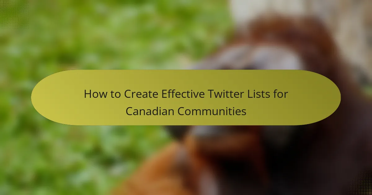 How to Create Effective Twitter Lists for Canadian Communities
