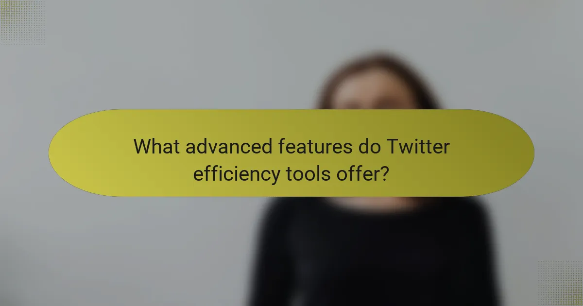 What advanced features do Twitter efficiency tools offer?