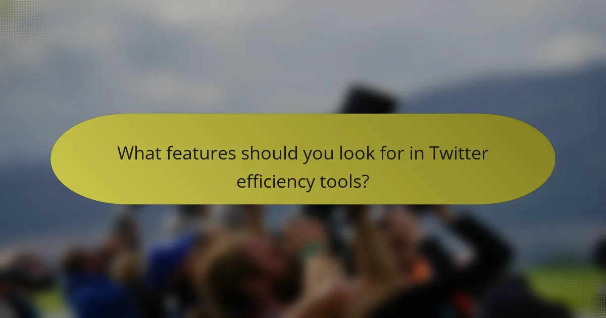 What features should you look for in Twitter efficiency tools?